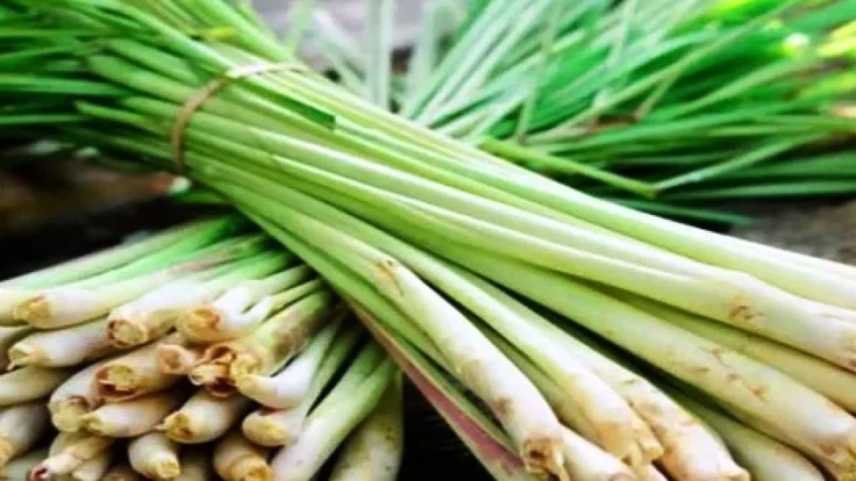 4 Aneka Manfaat Serai untuk Kecantikan Kulit, Simak Selengkapnya!
