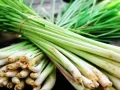 4 Aneka Manfaat Serai untuk Kecantikan Kulit, Simak Selengkapnya!