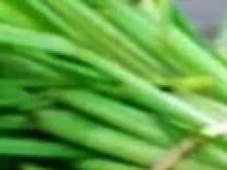 4 Aneka Manfaat Serai untuk Kecantikan Kulit, Simak Selengkapnya!
