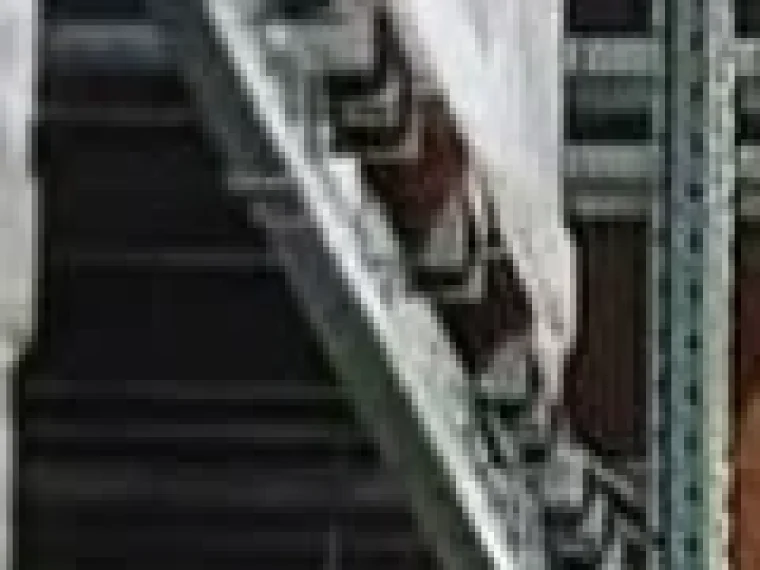 Menggunakan Layanan Sewa Gudang Shipper untuk Menunjang Bisnis Online