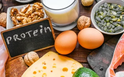 Ketahui Pengertian Protein, Sumber dan Beragam Fungsinya bagi Tubuh Manusia
