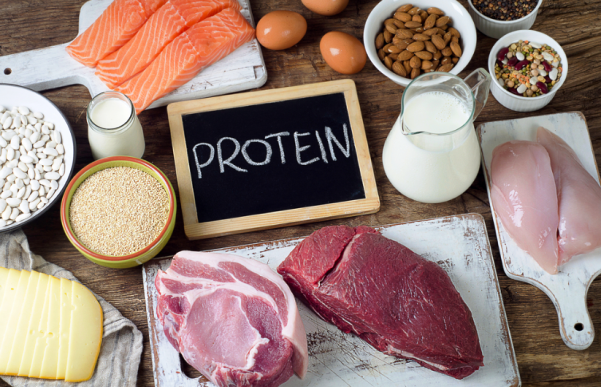 Sumber Protein