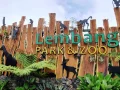 5 Destinasi Wisata Menarik untuk Dikunjungi di Bandung