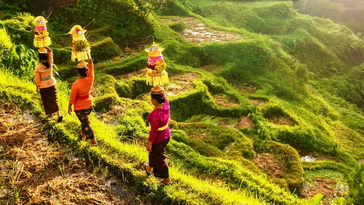 Wisata Kesenian Daerah Ubud Keindahan Seni dan Budaya di Bali