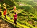 Wisata Kesenian Daerah Ubud Keindahan Seni dan Budaya di Bali