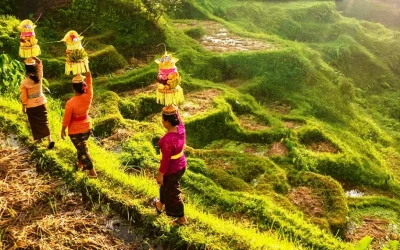 Wisata Kesenian Daerah Ubud Keindahan Seni dan Budaya di Bali