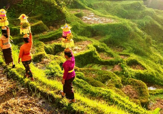 Wisata Kesenian Daerah Ubud Keindahan Seni dan Budaya di Bali